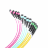 MPO Trunk cable