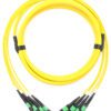 MPO Trunk cable