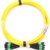 MPO Trunk cable
