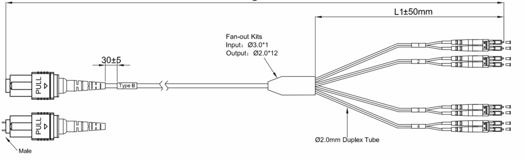 MPO Breakout cable technical drawing