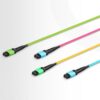 MPO MTP Trunk cable with different colors