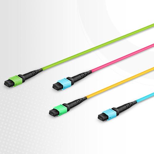 MPO MTP Trunk cable with different colors